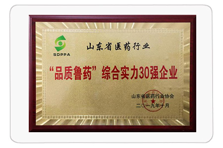 “品質(zhì)魯藥”綜合實力30強企業(yè)